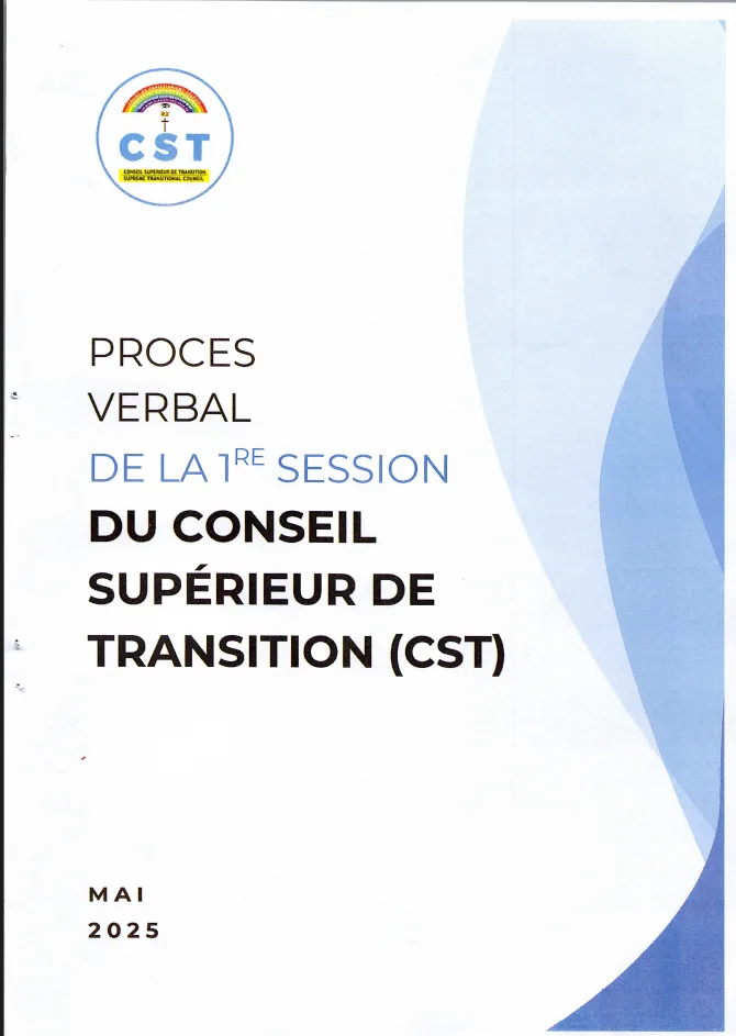Première session du CST : l’organisation des travaux et les commissions prennent forme