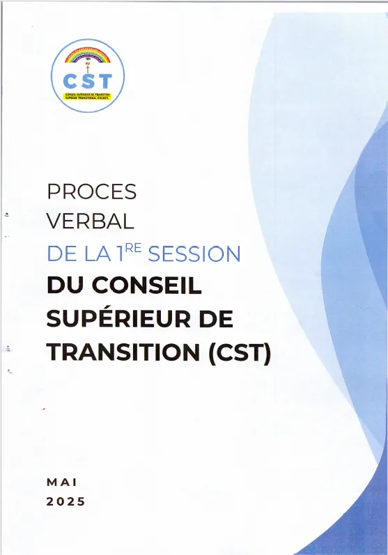 Première session du CST : l’organisation des travaux et les commissions prennent forme